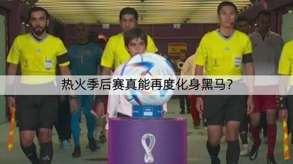 热火季后赛真能再度化身黑马？