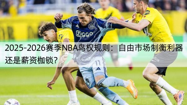 2025-2026赛季NBA鸟权规则：自由市场制衡利器还是薪资枷锁？