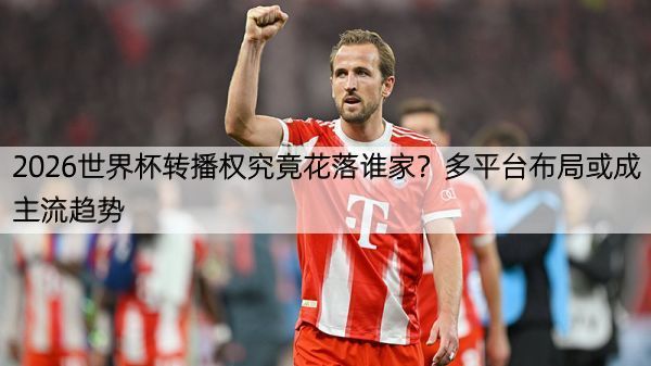 2026世界杯转播权究竟花落谁家？多平台布局或成主流趋势