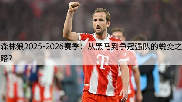 森林狼2025-2026赛季：从黑马到争冠强队的蜕变之路？