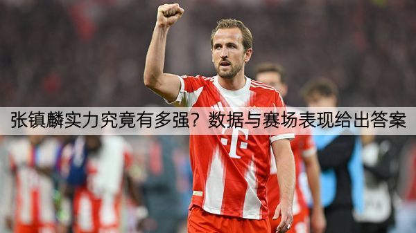 张镇麟实力究竟有多强？数据与赛场表现给出答案