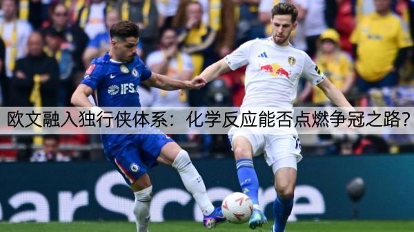 欧文融入独行侠体系：化学反应能否点燃争冠之路？